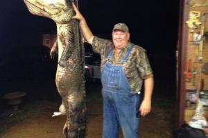 Braggin' Board Photo: Hunting Alligator in Arkansas