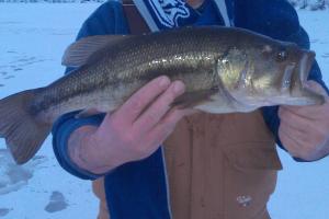Braggin' Board Photo: Mark Ice Bass
