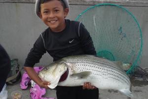 Braggin' Board Photo: This boy loves fishing striped bass