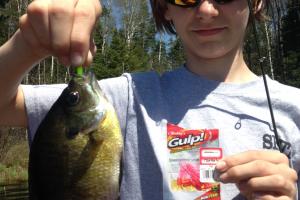 Braggin' Board Photo: Blue Gill on Berkley Gulp