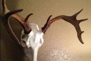 Braggin' Board Photo: First 9 pt Buck