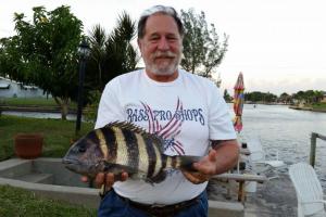 Braggin' Board Photo: Porgy Sheepshead, Atlantic Fishing