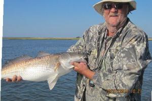 Braggin' Board Photo: 35 in redfish 2