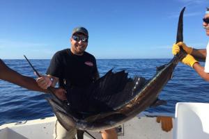 Braggin' Board Photo: Sailfish