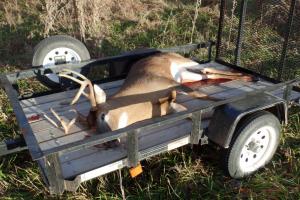 Braggin' Board Photo: 2015 Nice Buck