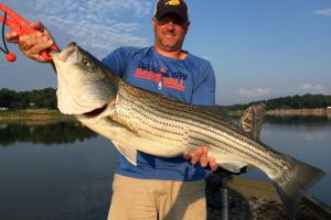 Braggin' Board Photo: JR Adkins Big Striper at Boone Lake