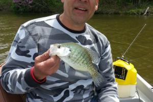 Braggin' Board Photo: crappie slab cowan