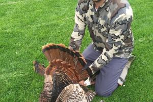 Braggin' Board Photo: Iowa Turkey