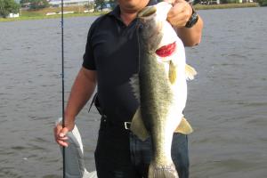 Angler standing near waters edge with Largemouth Bass
