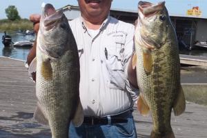 Two Largemouth Bass held side-by-side by angler