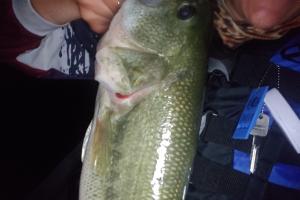 Angler night fishing holding largemouth bass