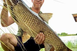 Angler holding up his giant grass carp near the rivers edge