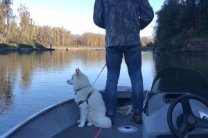 Angler staning on boat fishing with his back to the camera and his dog by his side