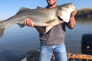 Angler standing in a boat with a very large stripe bass