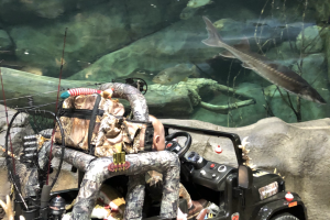 Little guy watching the fish acquarium at Bass Pro in a toy Jeep