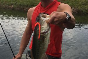 Nice largemouth bass help by the angler who caught him