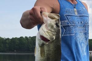 Angler on a lake catching nice bass