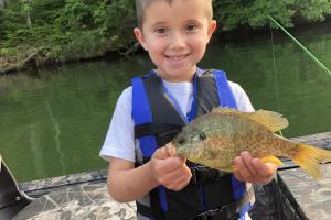 Young bluegill angler showing off his fish