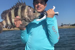 Nice Sheepshead held up by a young anger