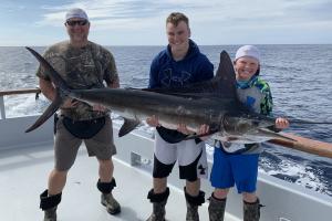 3 People hold a blue marlin 