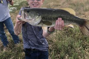 Young boy holding a large bass