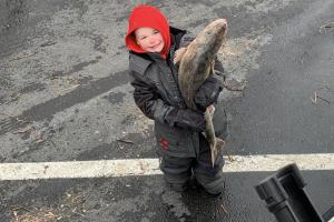 Young boy hold a fish that is almost the boy's size