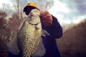Angler holding up a large crappie fish