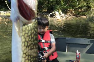 A child in a boat looking at the fish he caught