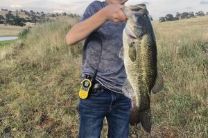 Not sharing my tricks for big bass