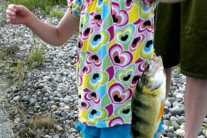 Young girl holding up a yellow perch