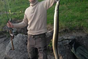 Angler holdign up an eel