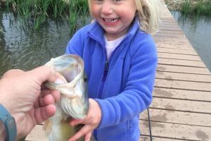 Young girl reaching for and touching a bass 