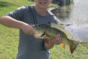 Boy standing near a pond holding a bass