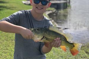 Boy on shore of a river holding a peacock bass