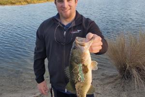 Bass angler Bass Fishing in Ft. Myers Lakes