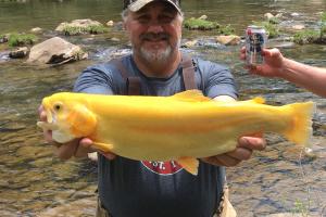 Trout angler holding up a golden trout