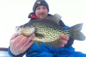 Nice CPR'd Black Crappie From Northern Wisconsin