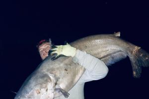 Angler with a Big Blue Catfish