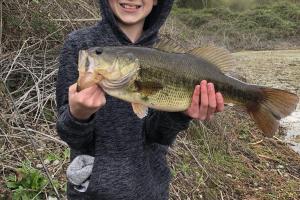 Boy angler holding a pond bass