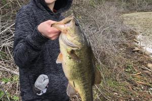 Young boy standing near a pond holding a largemouth bass