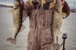 Walleye angler holding two fish with hands and one fish in his mouth