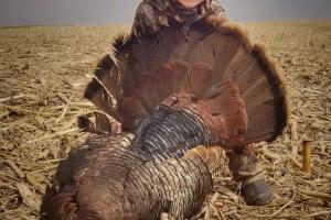 Proud Little Hunter holding up his turkey