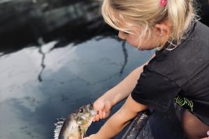 Young girl gently putting a fish back in the water