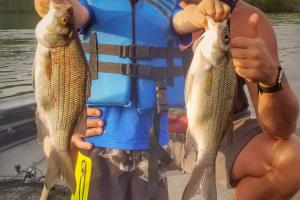 Father and son with two stripe bass