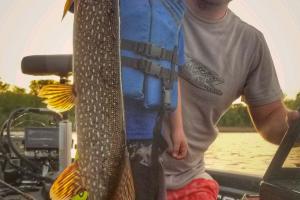 Young boy holding up a northern pike
