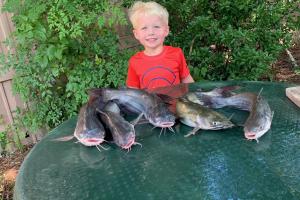 Boy with several catfish