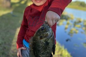 Young boy angler with nice size bream