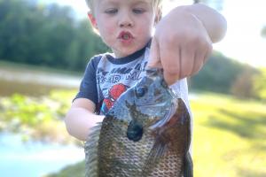 Young boy holding a nice size bluegill