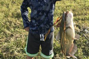 Boy angler holding up fat catfish