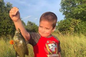 Boy hold a bluegill